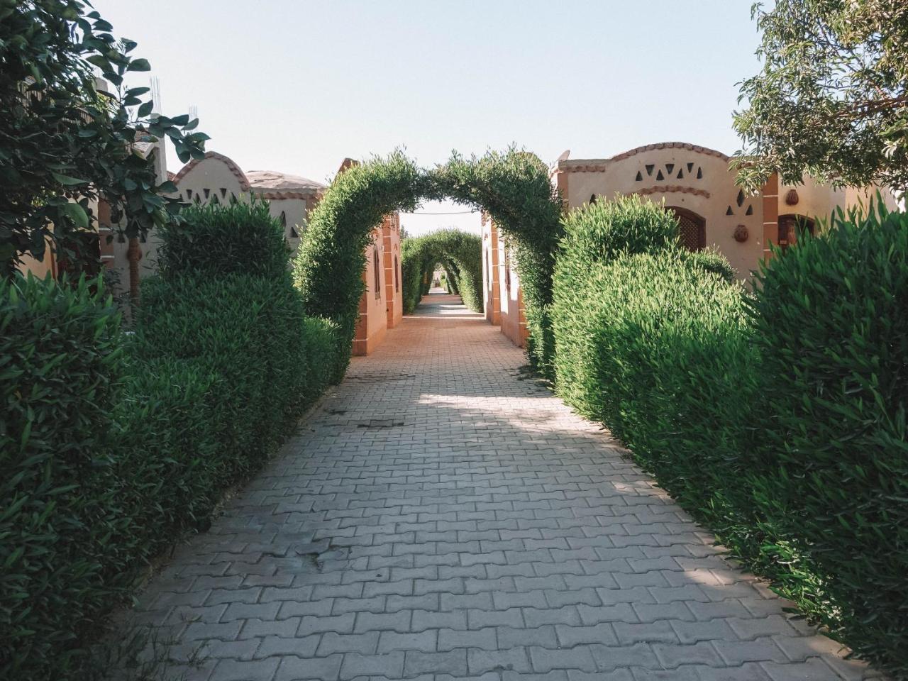 Al Baeirat Hotel Luxor Kültér fotó